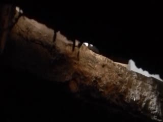 小伙冒死钻到厕沟低下拍邻居可爱妹子，果然昨晚和男友大战一场，B里流出大量残留的精液