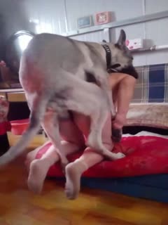 狗.狗长.大了.反操主.人