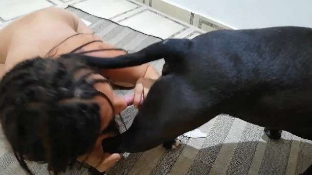 当女人把狗的阴茎放进肛门时，会产生色情的感觉