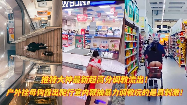 【最新流出超震撼大神作品】户外爬行露出双母狗室内调教