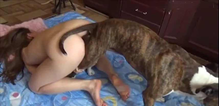 人兽-狗狗插到底整根进入身体