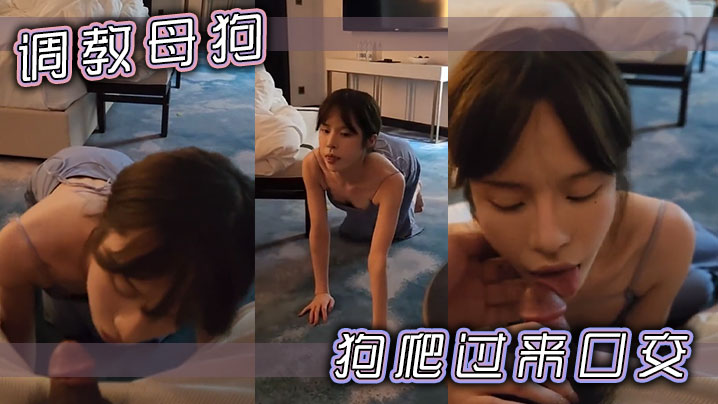 调教母狗，狗爬过来口交