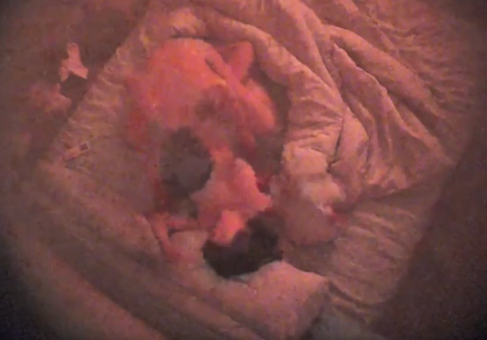 上帝视角 1-21 这一对情侣女生真是极品美女 身材苗条 皮肤雪白 奶子和屁股都是浑圆挺翘 出了三期视频了