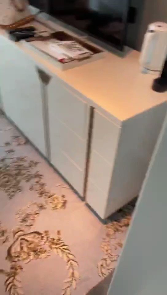 【遛狗电梯露出视频，绝对精彩！！！】你们猜这条小狗在电梯门口蹲了多久？转发过百发滴腊视频！